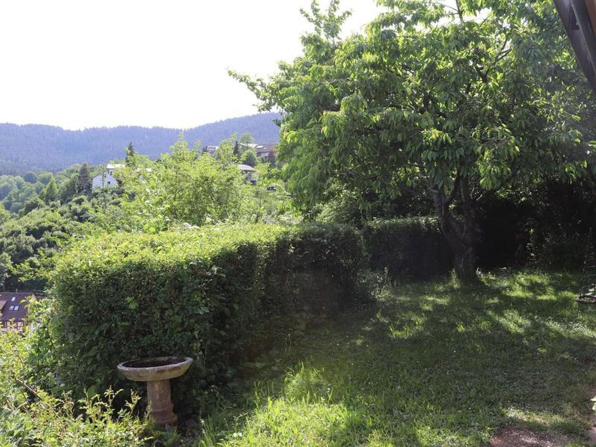 Haus Hoehneck 1 Alpirsbach Buitenkant foto